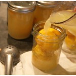 20110110_lemons5