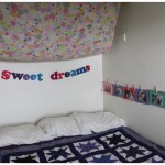 20110228_feltdreams4