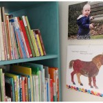 20110307_bookcase2