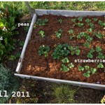 April garden
