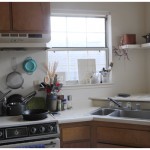 20110403_kitchen2