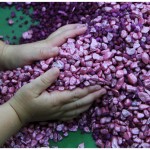 Colored gravel for our sand and water table Colored gravel for our sand and water table