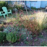 September garden