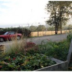 201110_garden4