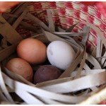 Eggs inside our Easter basket filled with brown paper grass Eggs inside our Easter basket filled with brown paper grass