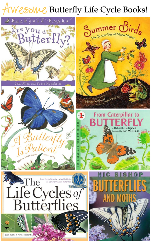 Fantastic Butterfly Life Cycle Books for Kids!