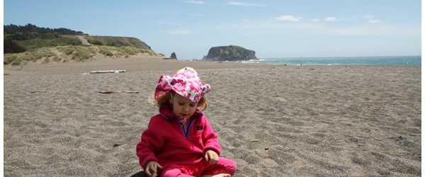 Beach Trip and Field Guidebooks