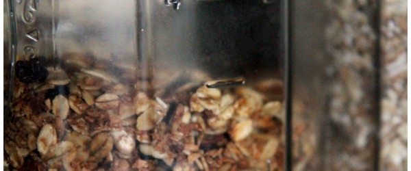 Tasty Gluten-Free Granola Recipe