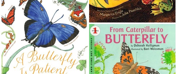 Fantastic Butterfly Life Cycle Books for Kids